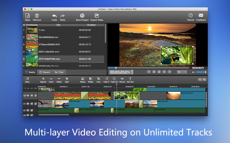 MovieMator Video Editor Pro 3 for macOS Free Download