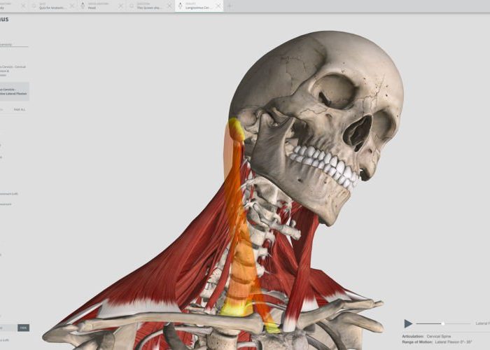 Complete Anatomy 2019 for Mac Free Download