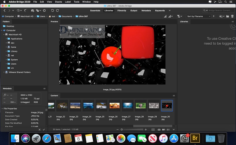 Adobe Bridge 2020 v10.0.2 for Mac Free Download