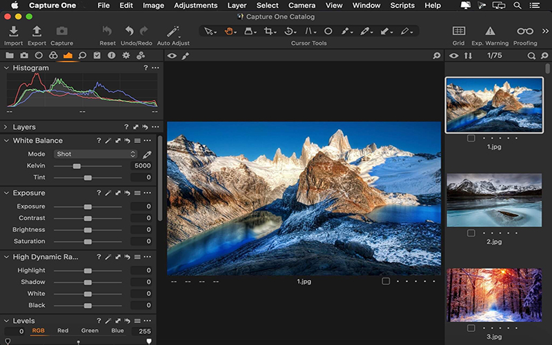 Capture One 22 Enterprise 15.3 for Mac Free Download