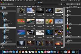 ACDSee Photo Studio 9 for Mac Free Download