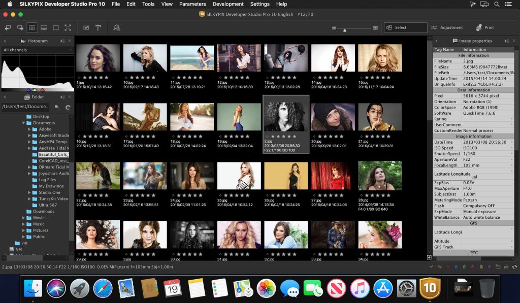 SILKYPIX Developer Studio Pro 10 for Mac Free Download