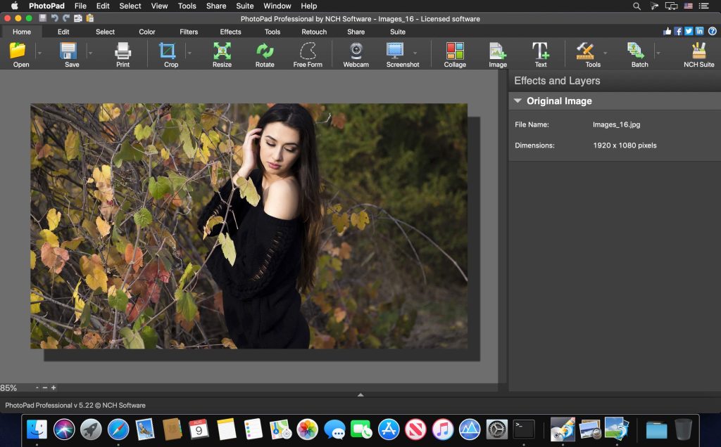 PhotoPad Professional 9.61 Free Download