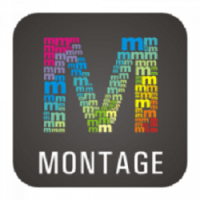 Download WidsMob Montage for Mac