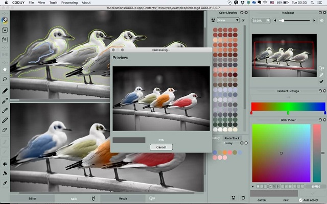 CODIJY Recoloring 4 for Mac Free Download