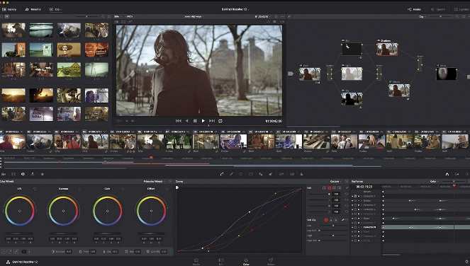 Blackmagic Design DaVinci Resolve Studio 17.4.1 for macOS Big Sur