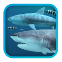 Sharks 3D 2 Free Download