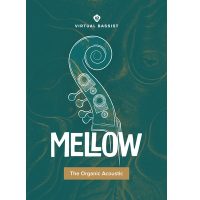 Download UJAM Virtual Bassist MELLOW 2 for Mac