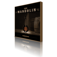 Indiginus The Fiddle KONTAKT Library Free Download