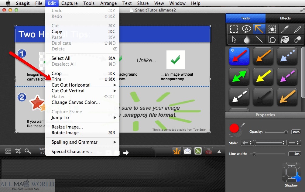TechSmith Snagit for Mac OS X Free Download