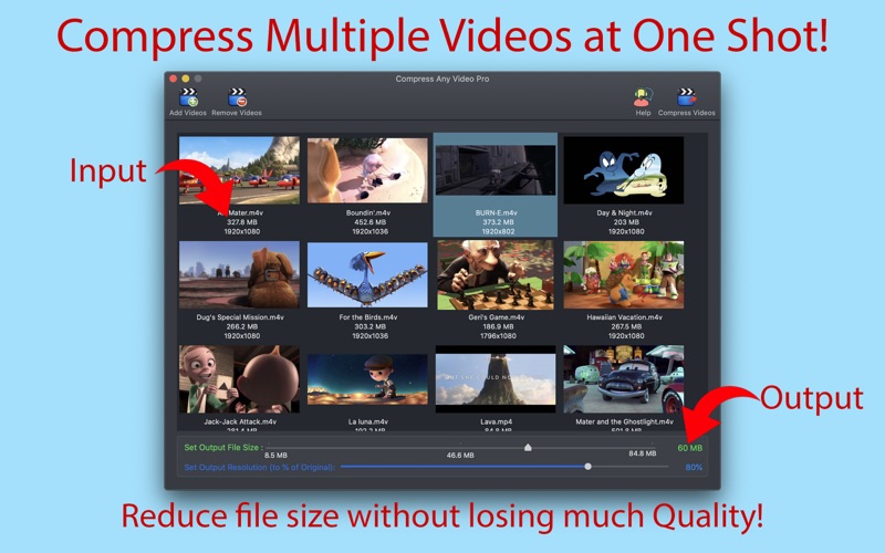 Compress Any Video Pro 2 for macOS Free Download