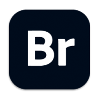 Download Adobe Bridge 2022 v12.0 for Mac