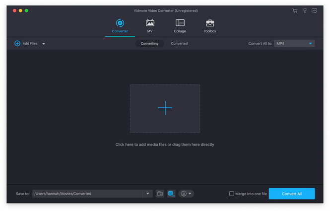 Vidmore Player 2022 for Mac Free Download