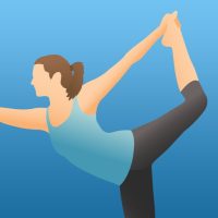 Download Pocket Yoga Teacher 13 for Mac