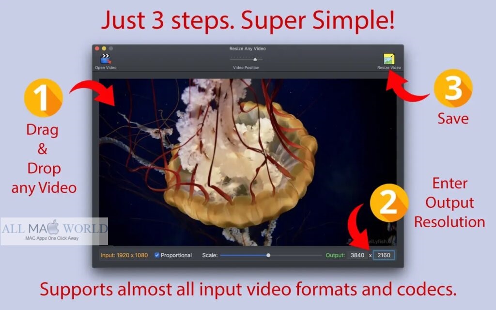 Resize Any Video 2022 for Mac Free Download