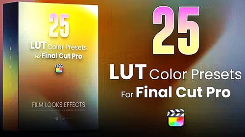 Videohive 25 LUTs pack For Final Cut Pro X Free Download