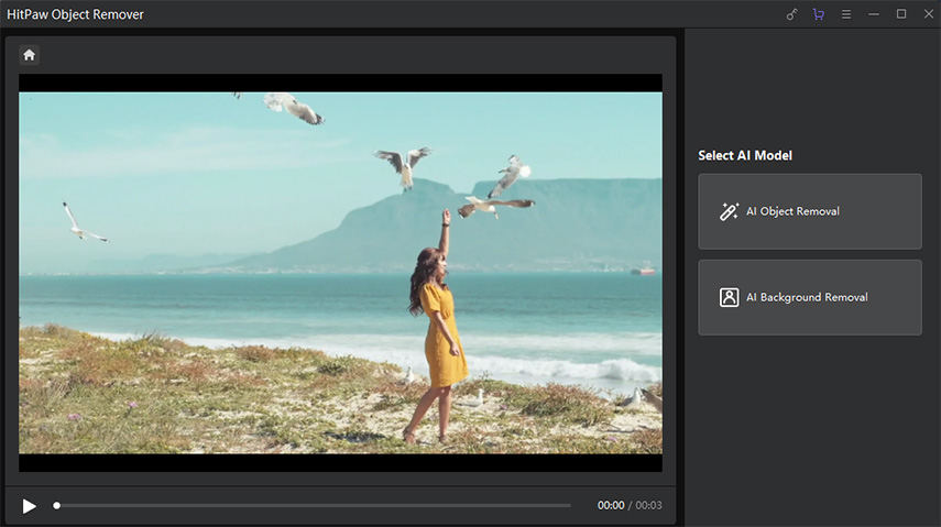 HitPaw Video Object Remover for Mac Full Version Download