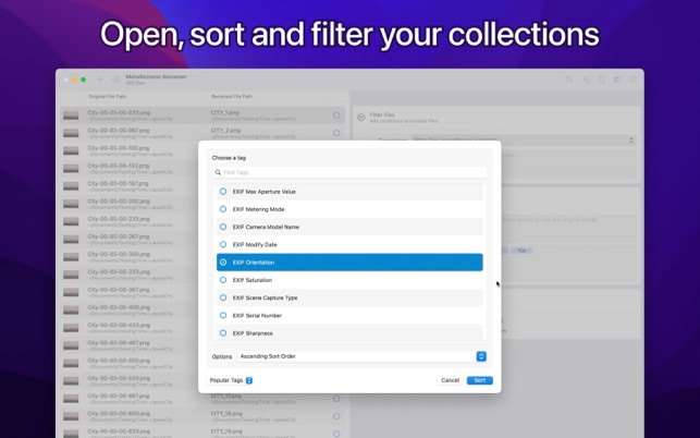 MetaRename for macOS Free Download