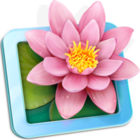LilyView Free Download macOS