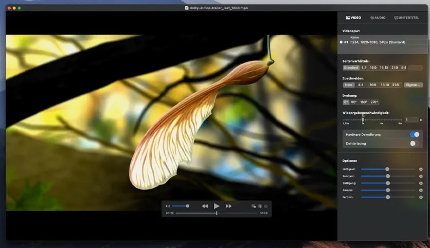 IINA Player for Mac