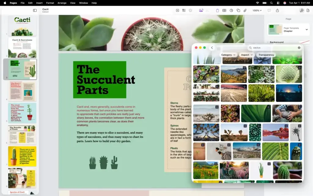 Pages Creator Studio for MacOS Free Download