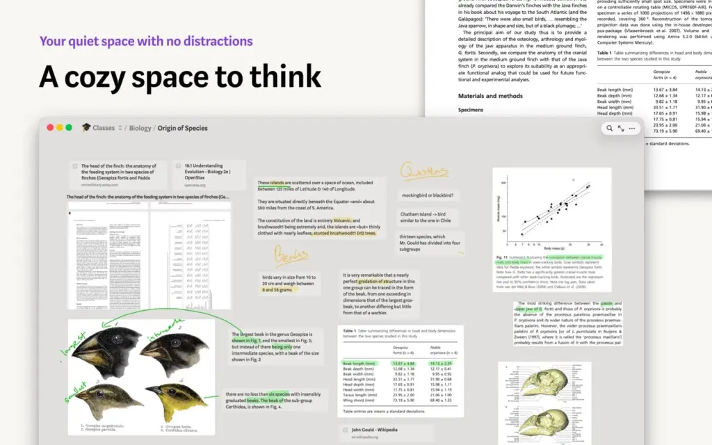 Allume - for focused thinking for Mac Free Download