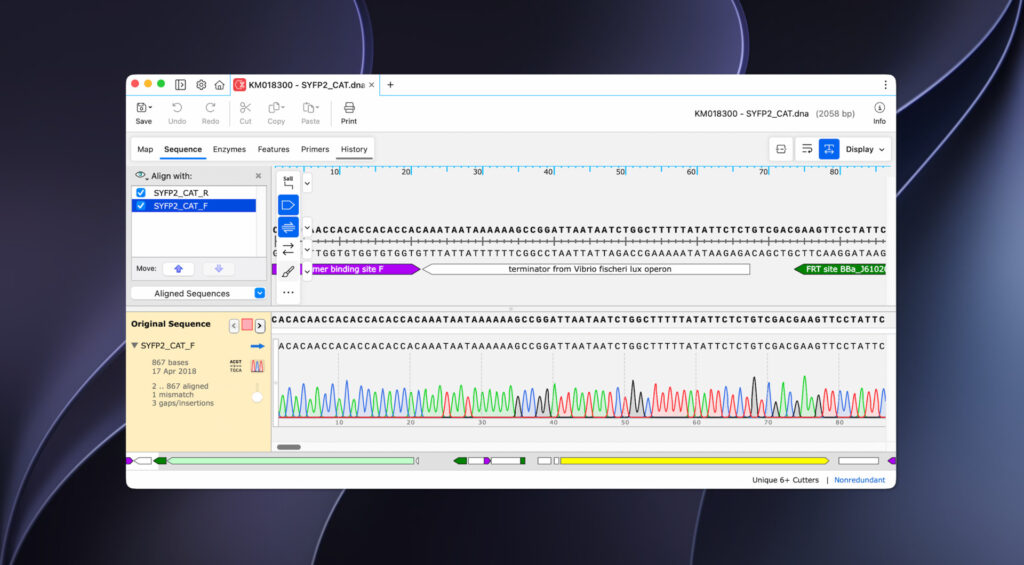 SnapGene for Mac Free Download